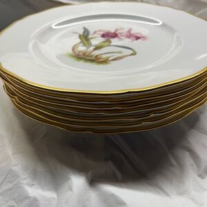 Elegant White and Gold Floral Dinner Plates